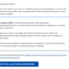 Czy na sam PESEL można wziąć chwilówkę? Sprawdź, jakie są warunki i ryzyka