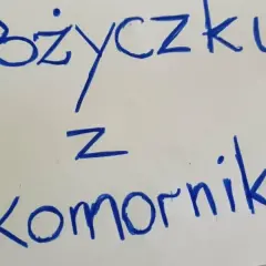 Gdzie dostanę pożyczkę z komornikiem i uniknę dodatkowych problemów?