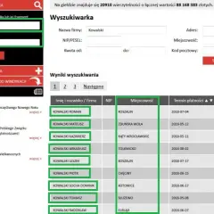 Jak sprawdzić zadłużenie i uniknąć nieprzyjemnych konsekwencji finansowych