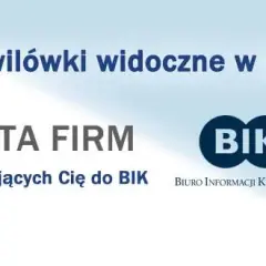 Czy chwilówki są widoczne w BIK? Sprawdź, jak wpływają na kredyt